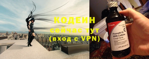 a pvp Бородино