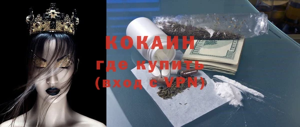 a pvp Бородино