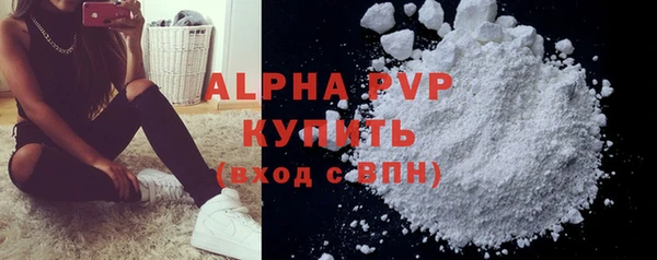 a pvp Бородино
