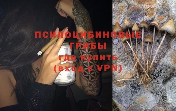 шишки Бугульма
