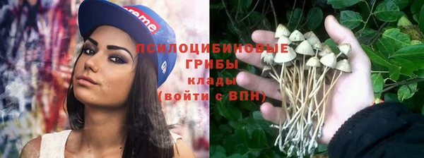 a pvp Бородино