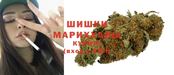 a pvp Бородино