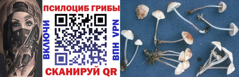 Псилоцибиновые грибы ЛСД  Купить  Вихоревка 